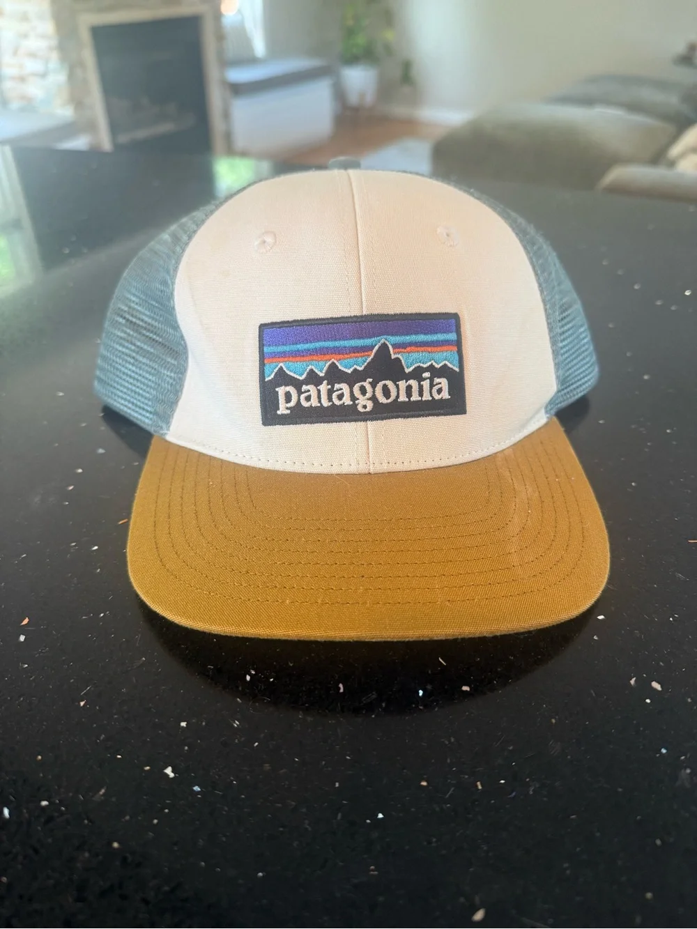 Patagonia Trucker Hat in White, Teal & Brown